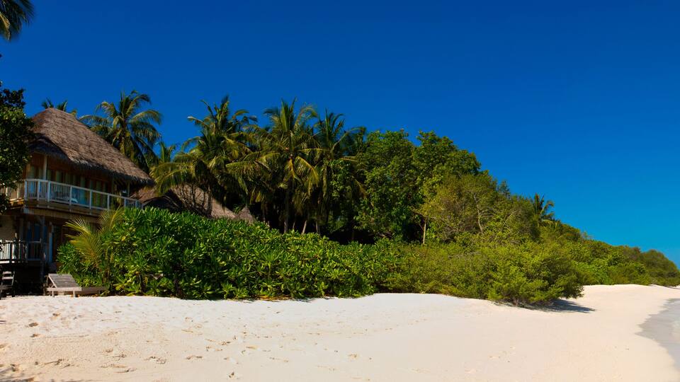 A tropical beach with white sand, clear turquoise water, and lush greenery including palm trees.