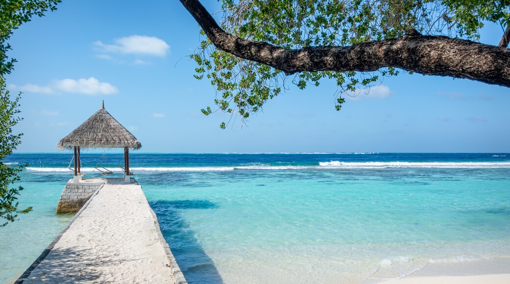 Beach Hammock, Helengeli Island, Maldives