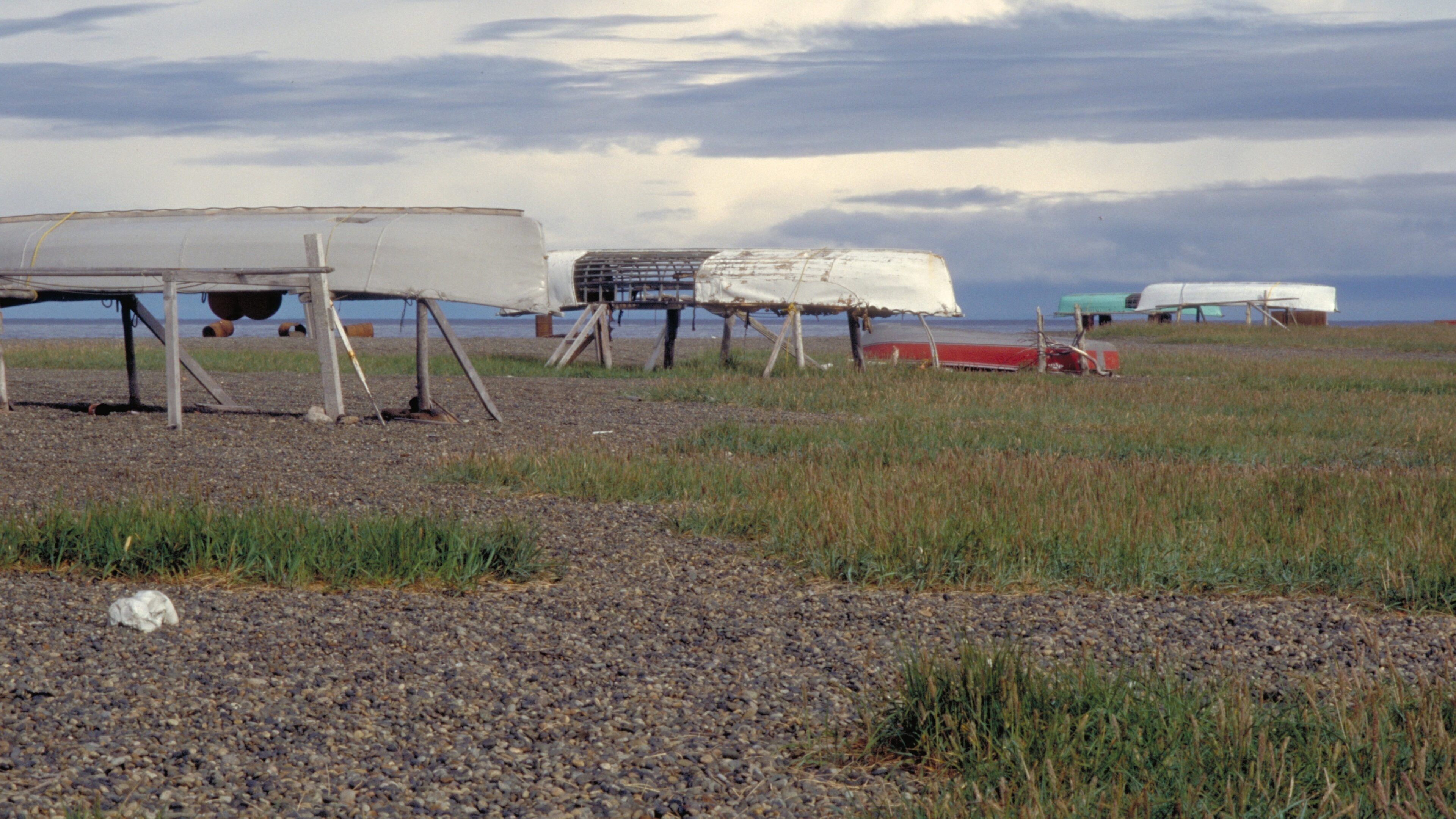 Western Alaska which includes tranquil scenes