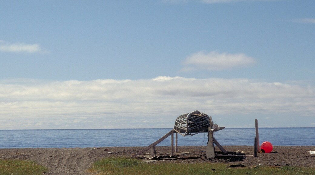 Western Alaska showing a pebble beach