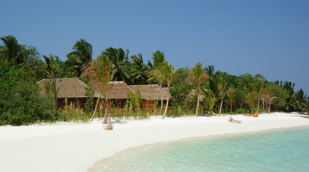 tropical beach with coconut palm trees, Veligandu island, Maldives