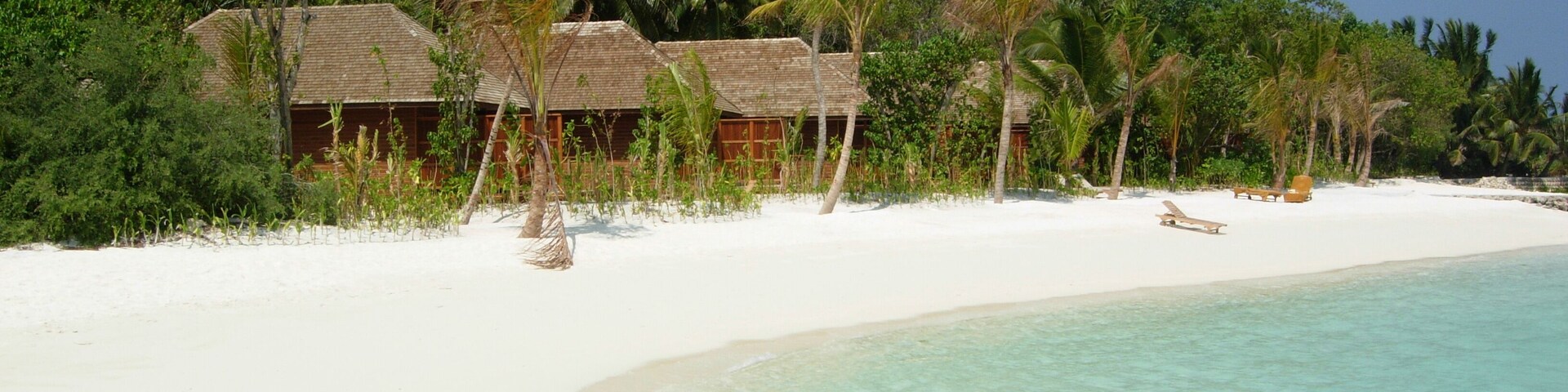 tropical beach with coconut palm trees, Veligandu island, Maldives