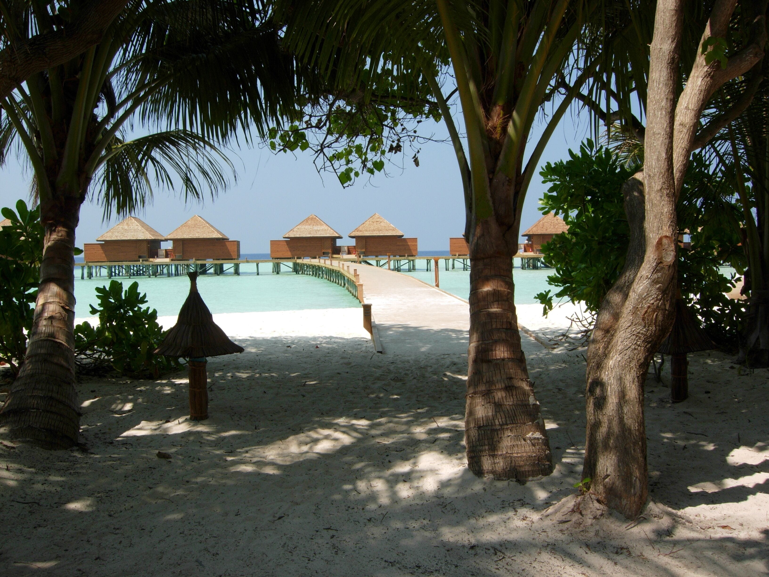 tropical beach and resort, Veligandu island, Maldives