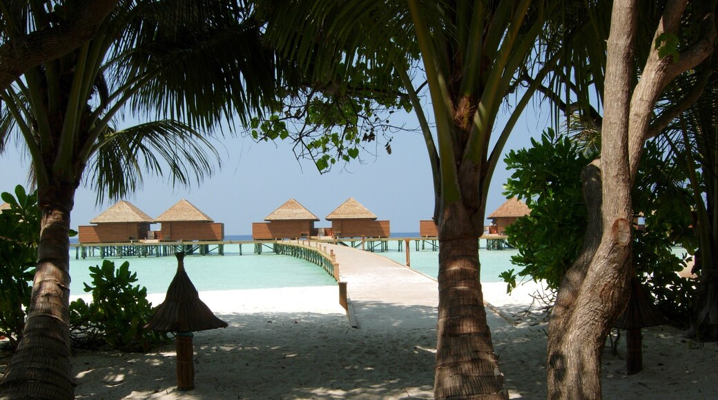 tropical beach and resort, Veligandu island, Maldives