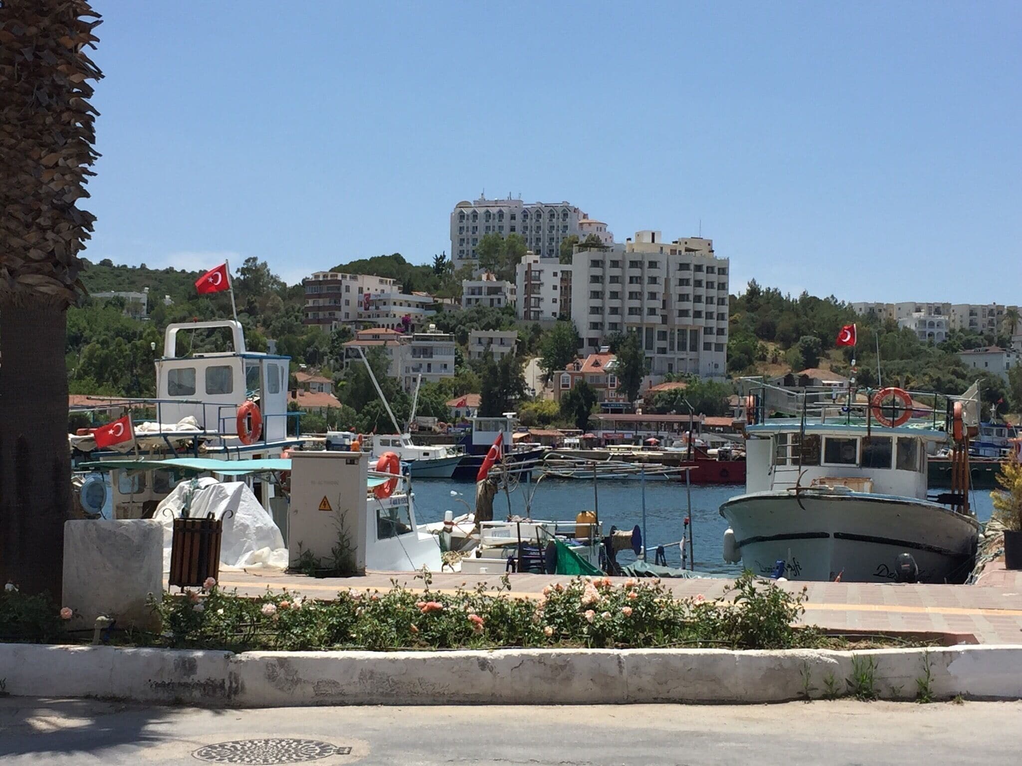 Harbour view from the Ela bar