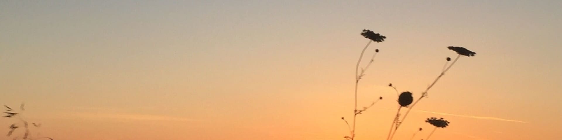 Beautiful sunset #beachtips #TroveOnTuesday #GreatOutdoors