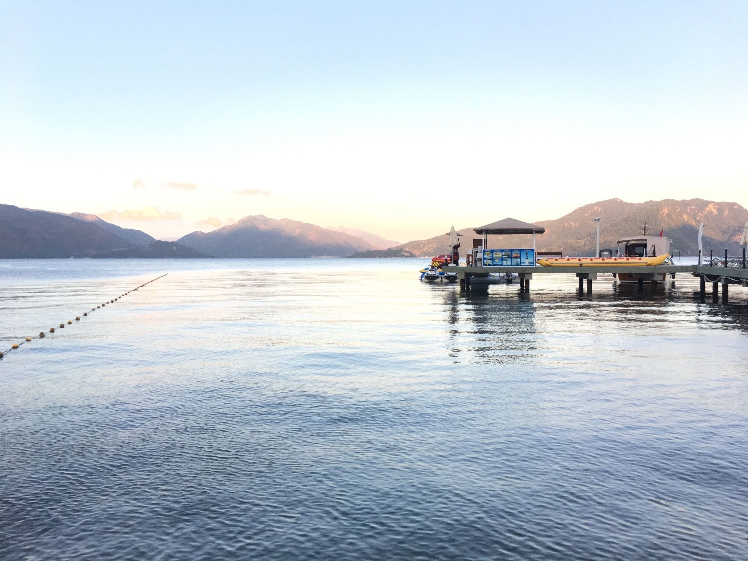Beautiful pine trees and the sea