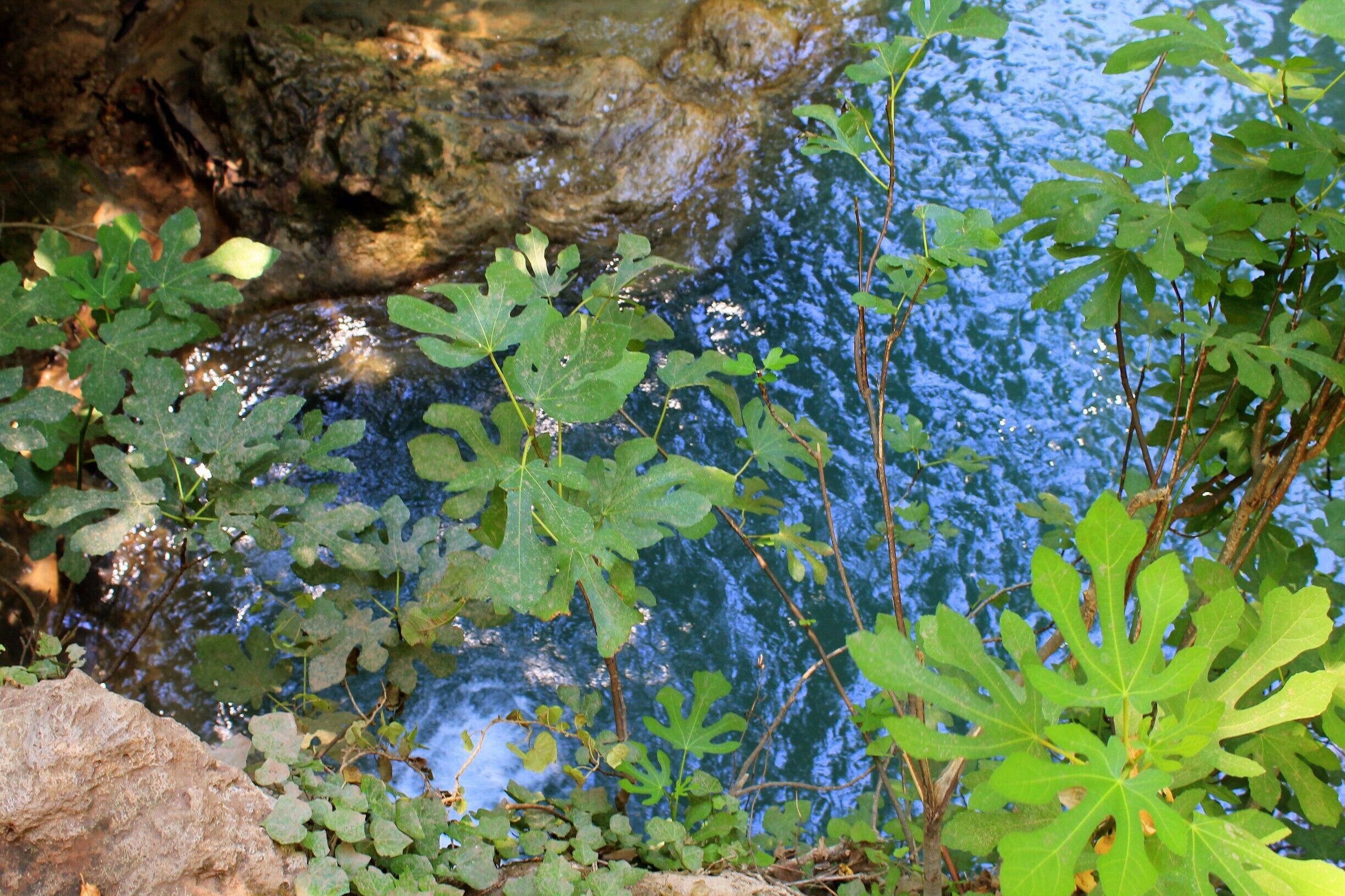 After a muddy and bumpy jeep-ride from Marmaris, we reached the National Park. Luckily the first place we visited here, were these beautiful and refreshing waterfalls, so we could wash off the mud. 
The waterfalls and lakes could be found at different hights, so you could climb all the way up and thake a refreshing dive after each climb. #waterfall #bluewater #wonderful #wander #explore #NationalPark