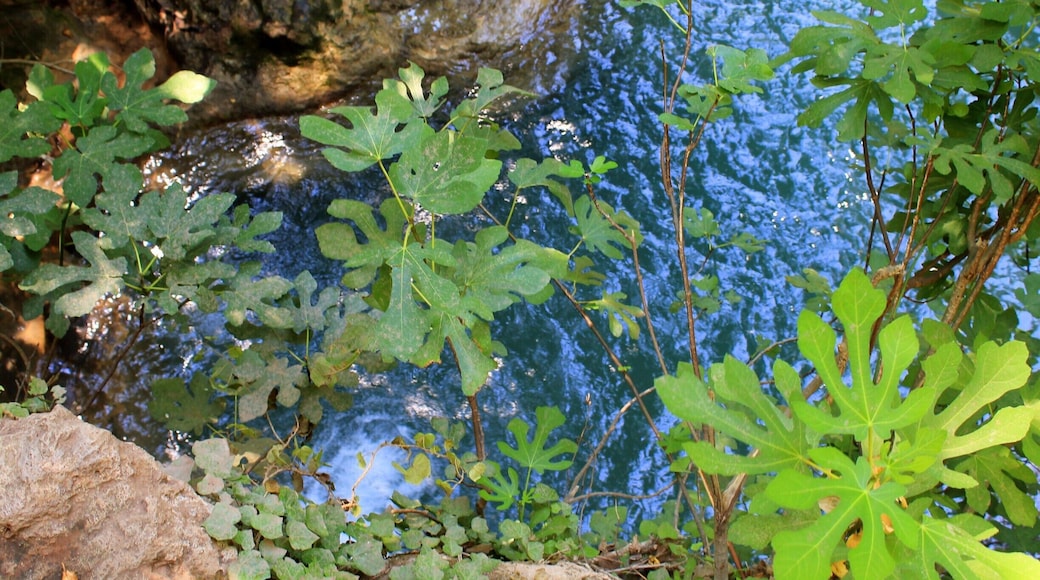 After a muddy and bumpy jeep-ride from Marmaris, we reached the National Park. Luckily the first place we visited here, were these beautiful and refreshing waterfalls, so we could wash off the mud.
The waterfalls and lakes could be found at different hights, so you could climb all the way up and thake a refreshing dive after each climb. #waterfall #bluewater #wonderful #wander #explore #NationalPark