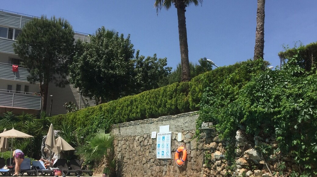 Lovely day by the pool