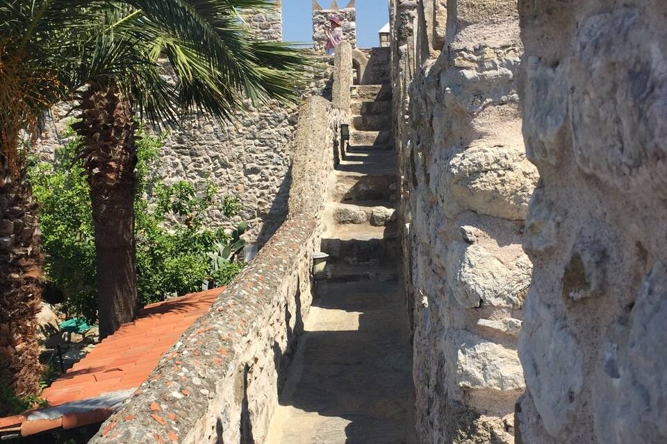 Un étroit sentier de pierre bordé de palmiers et d’un mur de pierre.