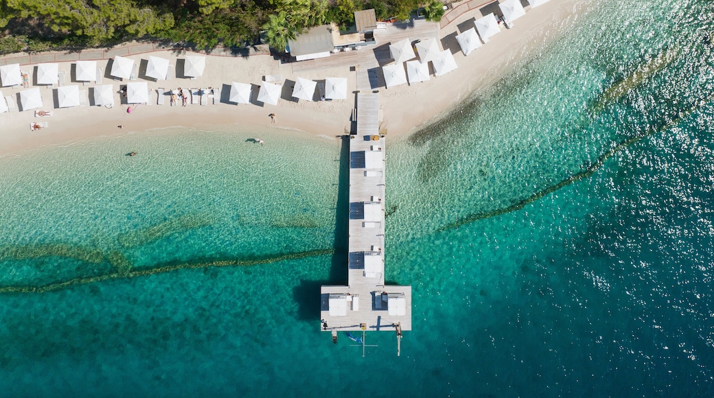 Selimiye