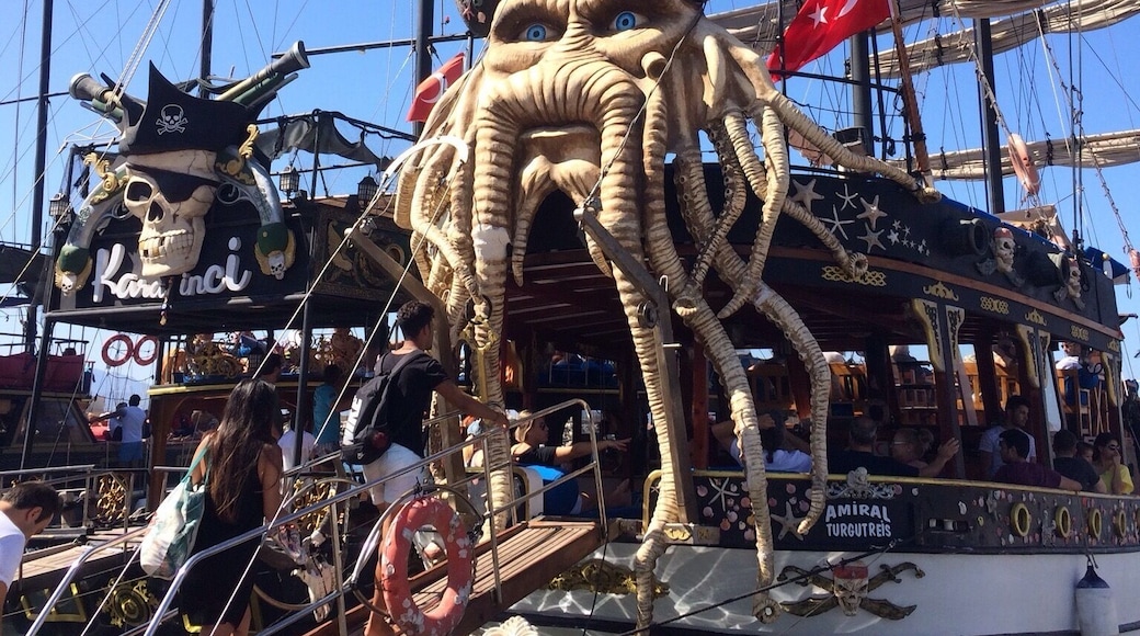 Bodrum marina, day boats to take you around the bays of Bodrum, Turkey.