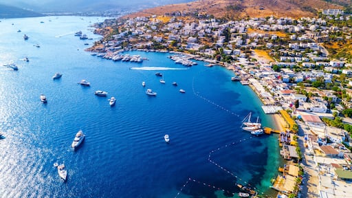Turkbuku Bay of Bodrum. Mugla, Turkey. Aerial panoramic view of Turkbuku (Golturkbuku). Drone shot.