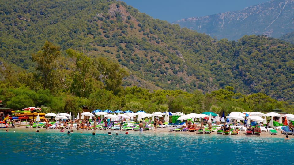 A beach with people swimming and sunbathing, surrounded by lush green hills.