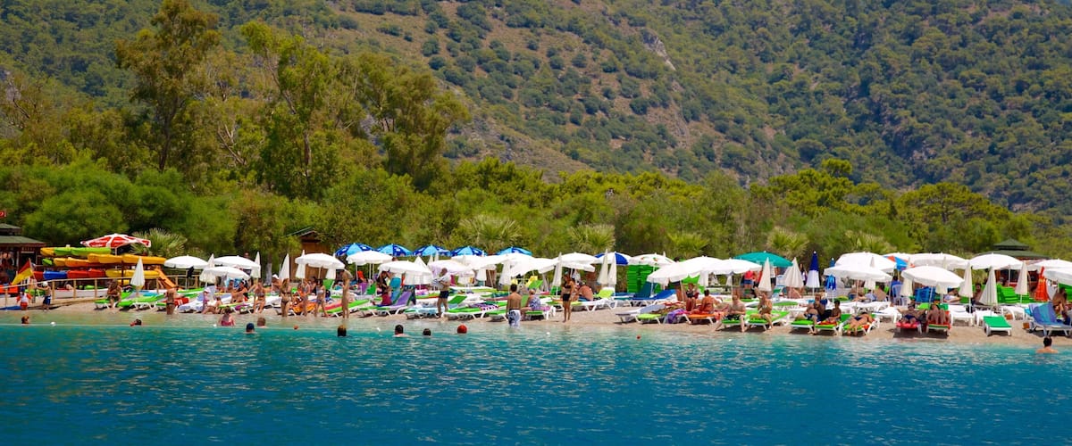 A beach with people swimming and sunbathing, surrounded by lush green hills.