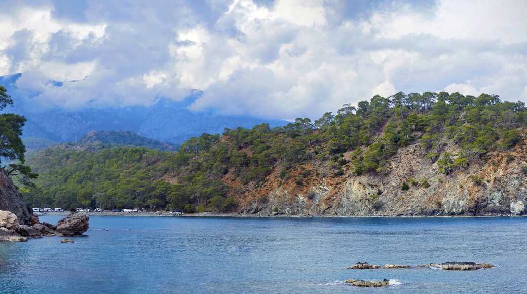 Phaselis Ancient City forest. Northern Necropolis - cemetery with elaborate tomb monuments. Turkey. Asia Minor