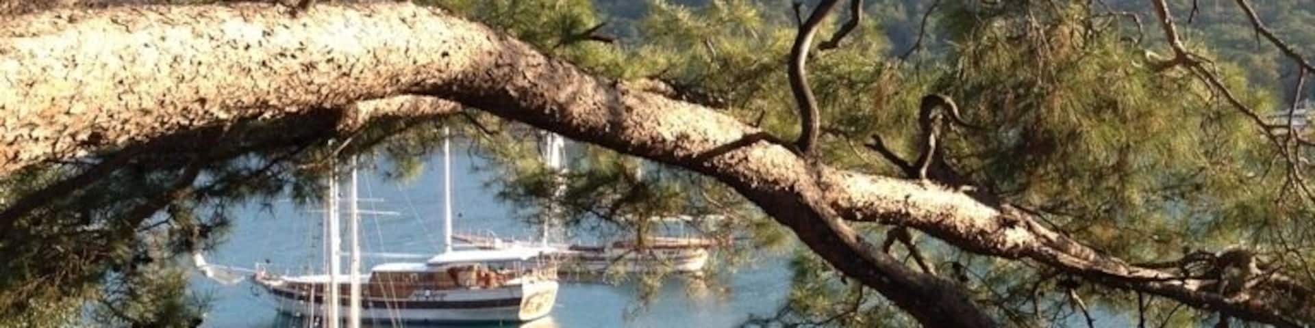 Amazingly beautiful!