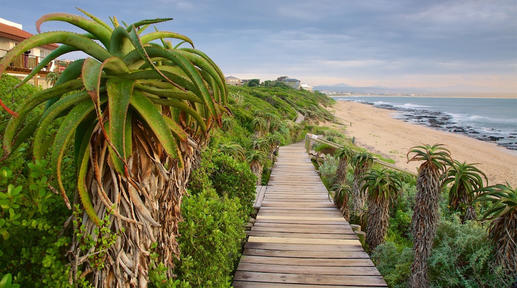 Jeffreys Bay bevat tropische uitzichten, algemene kustgezichten en rotsachtige kustlijn