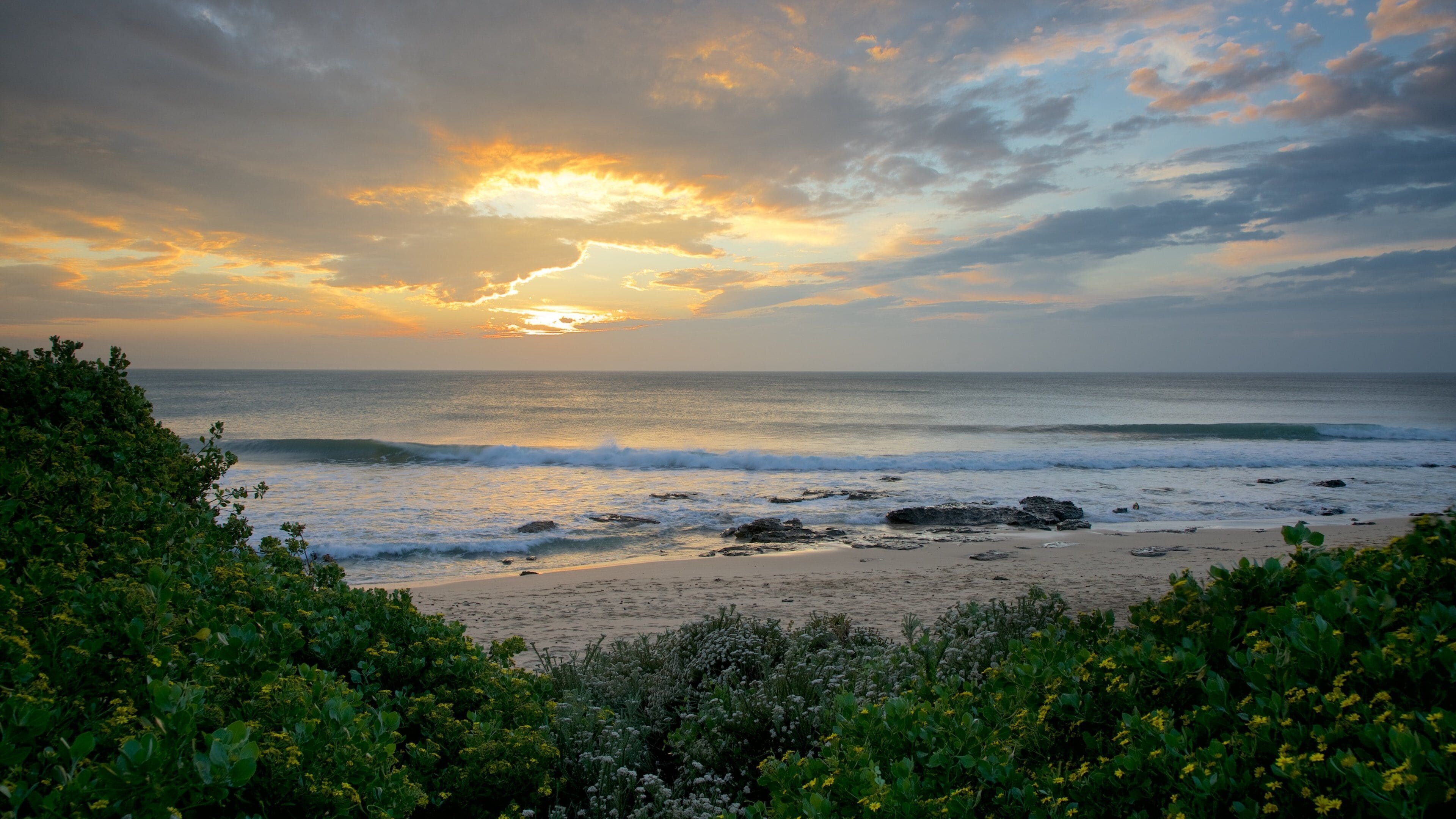 A beach with waves, a sunset, and green foliage.