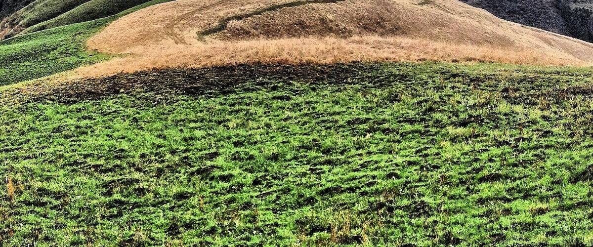 A hill. The highest in Creighton. #southafrica #zulu #creighton #africa #hill