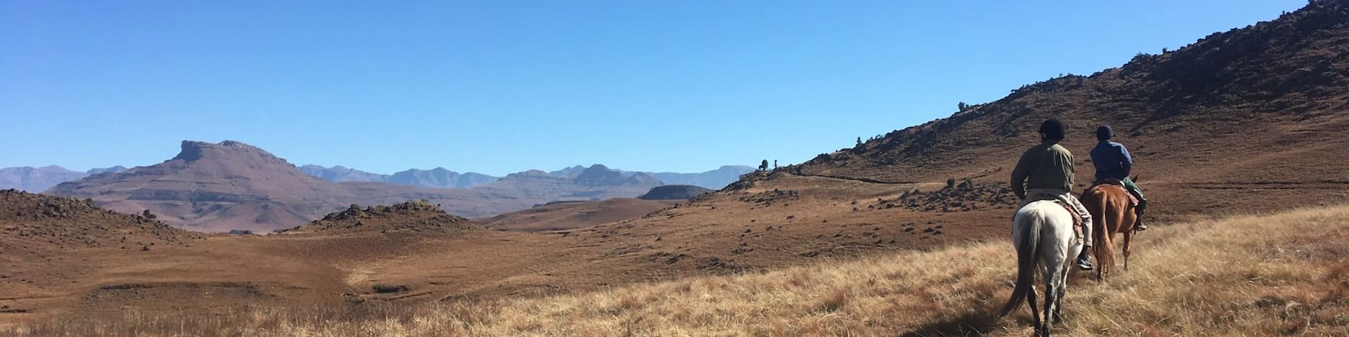 Go for a one hour, two hour, or three hour ride in the Drakensberg Mountains on lovely little Basuto ponies. It’s the best way to immerse yourself in the amazing scenery!