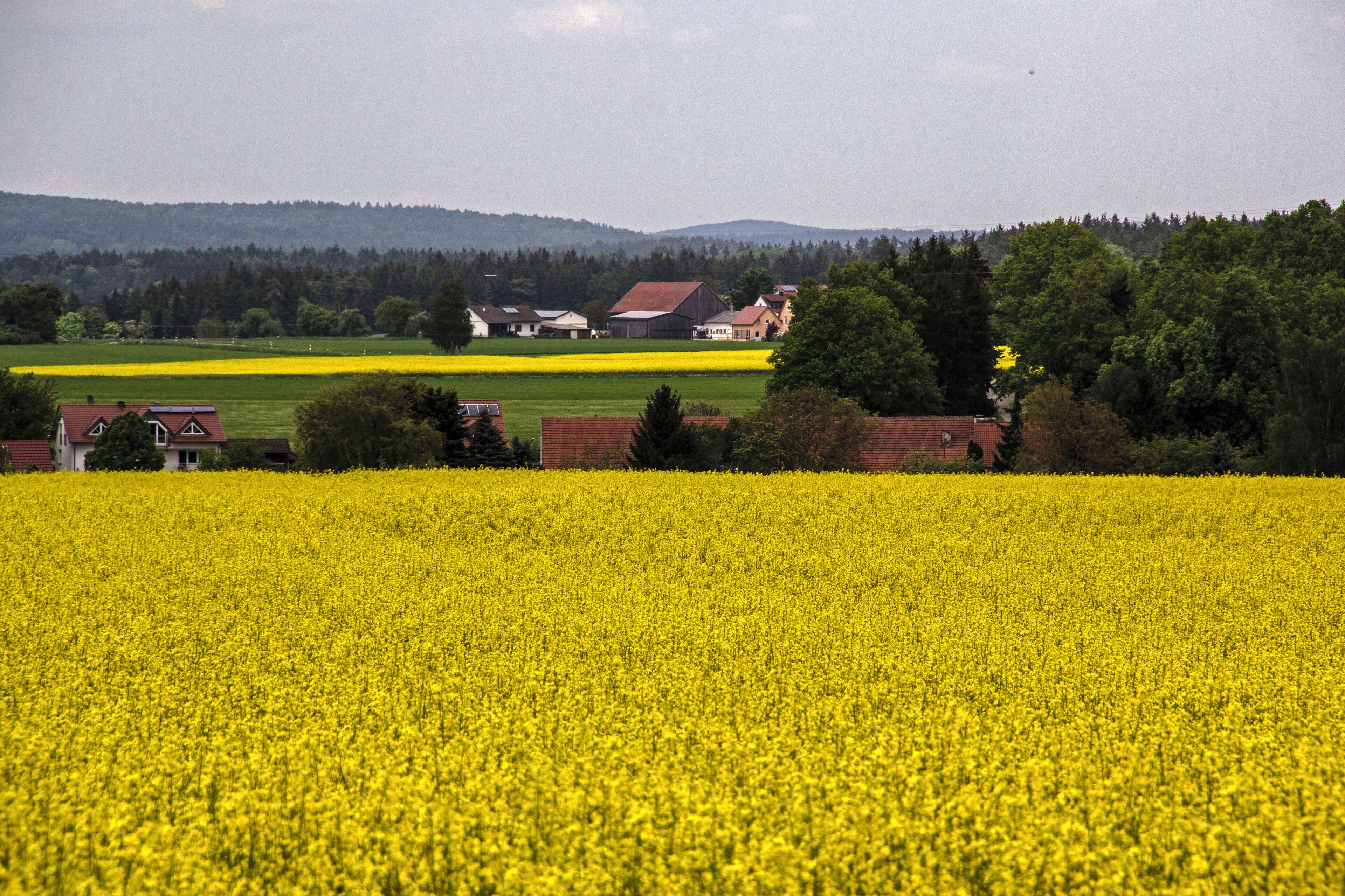 Mallerstetten, Blick von Süden