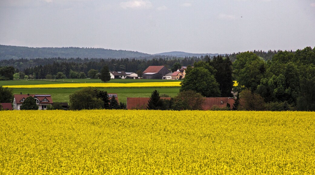 Mallerstetten, Blick von Süden