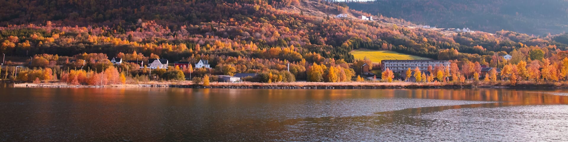 Coastal Norwegian landscape with traditional wooden houses
