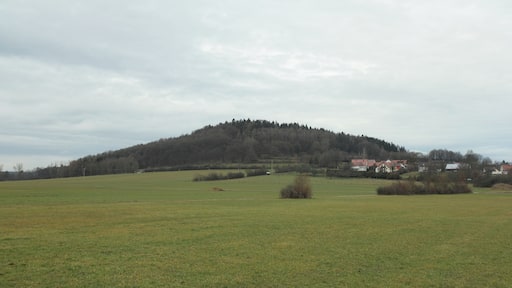 Burgstall Stauf - Ansicht des Staufer Berges aus südlicher Richtung