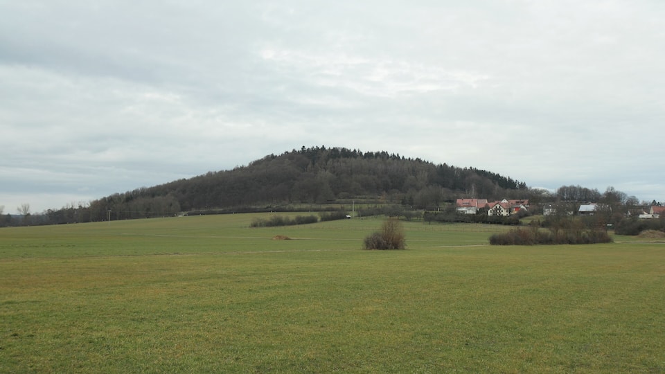 A green field with a hill in the background and houses on the right.