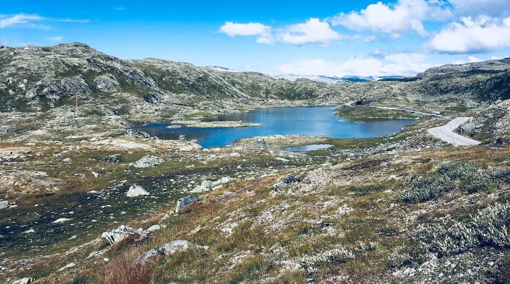 When you are in the area make sure to drive or walk through Jotunheimen National Park. It’s a lovely place!!