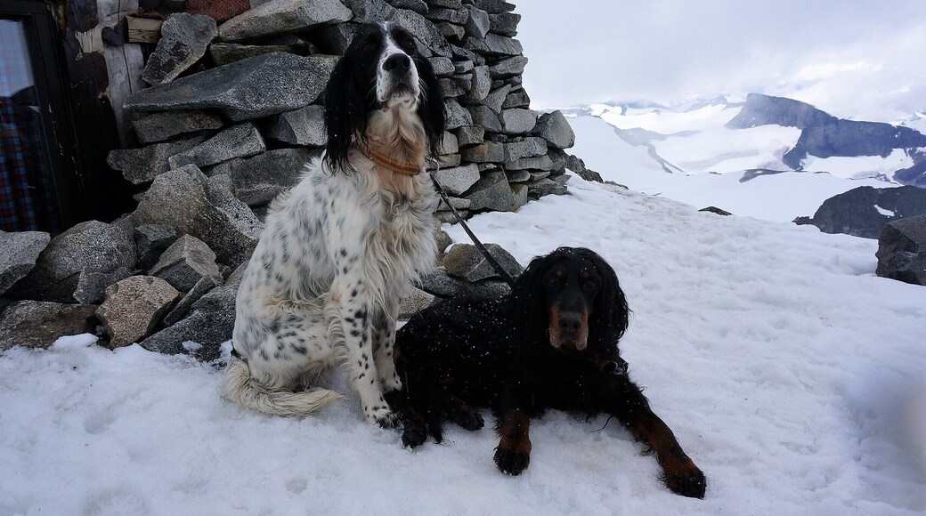 Summit of the highest point in Norway.