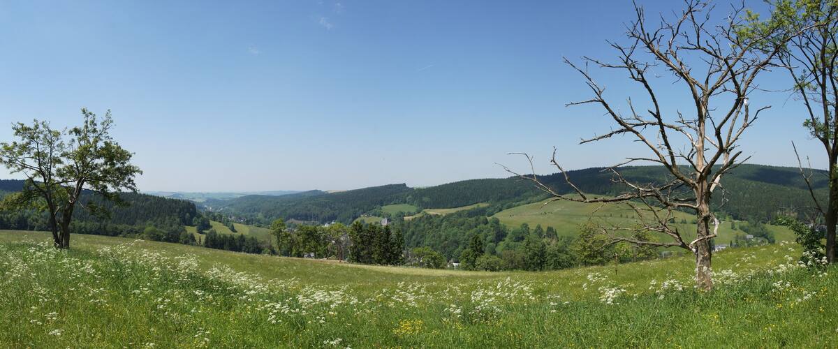 Blick auf Rechenberg-Bienenmühle