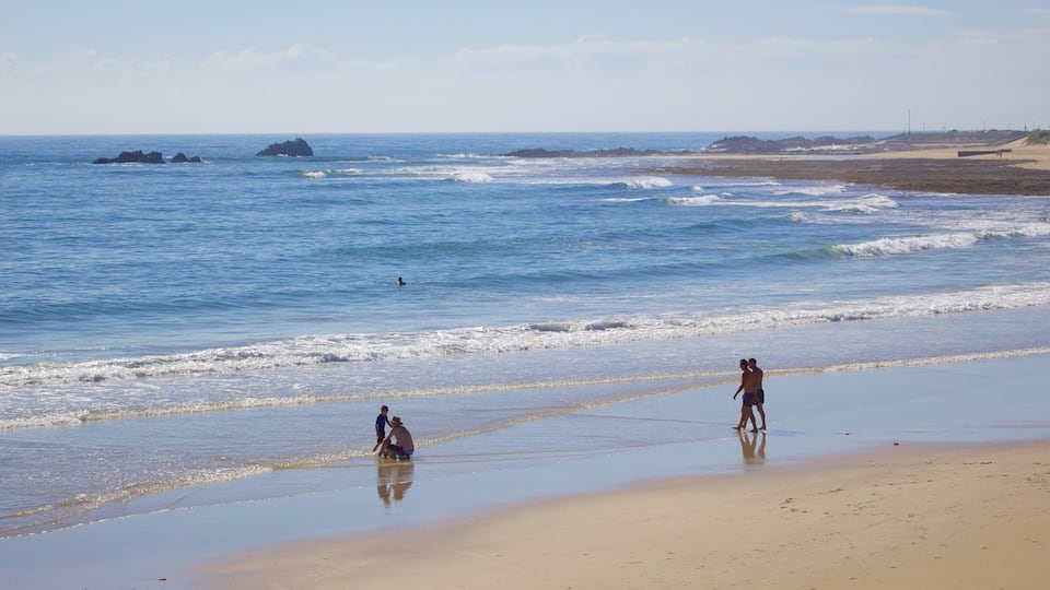 Summerstrand showing general coastal views and a beach