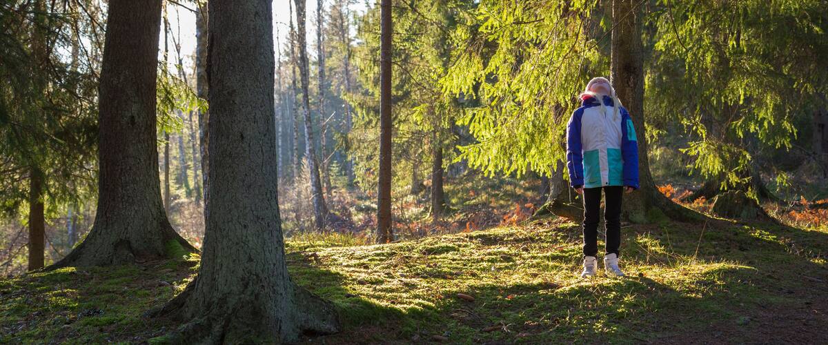 Sweden, Smaland, Anderstorp, Girl (10-11) standing in forest and looking up
