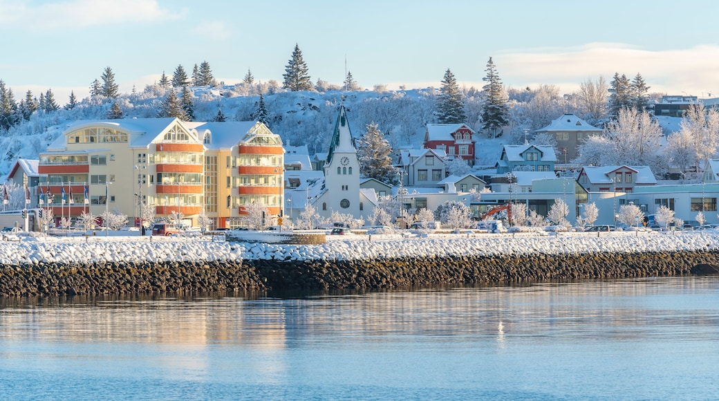 View of town and church from Hafnarfjorour Marina in winter, Hafnarfjorour