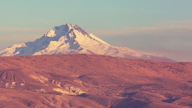جبل أرجياس
