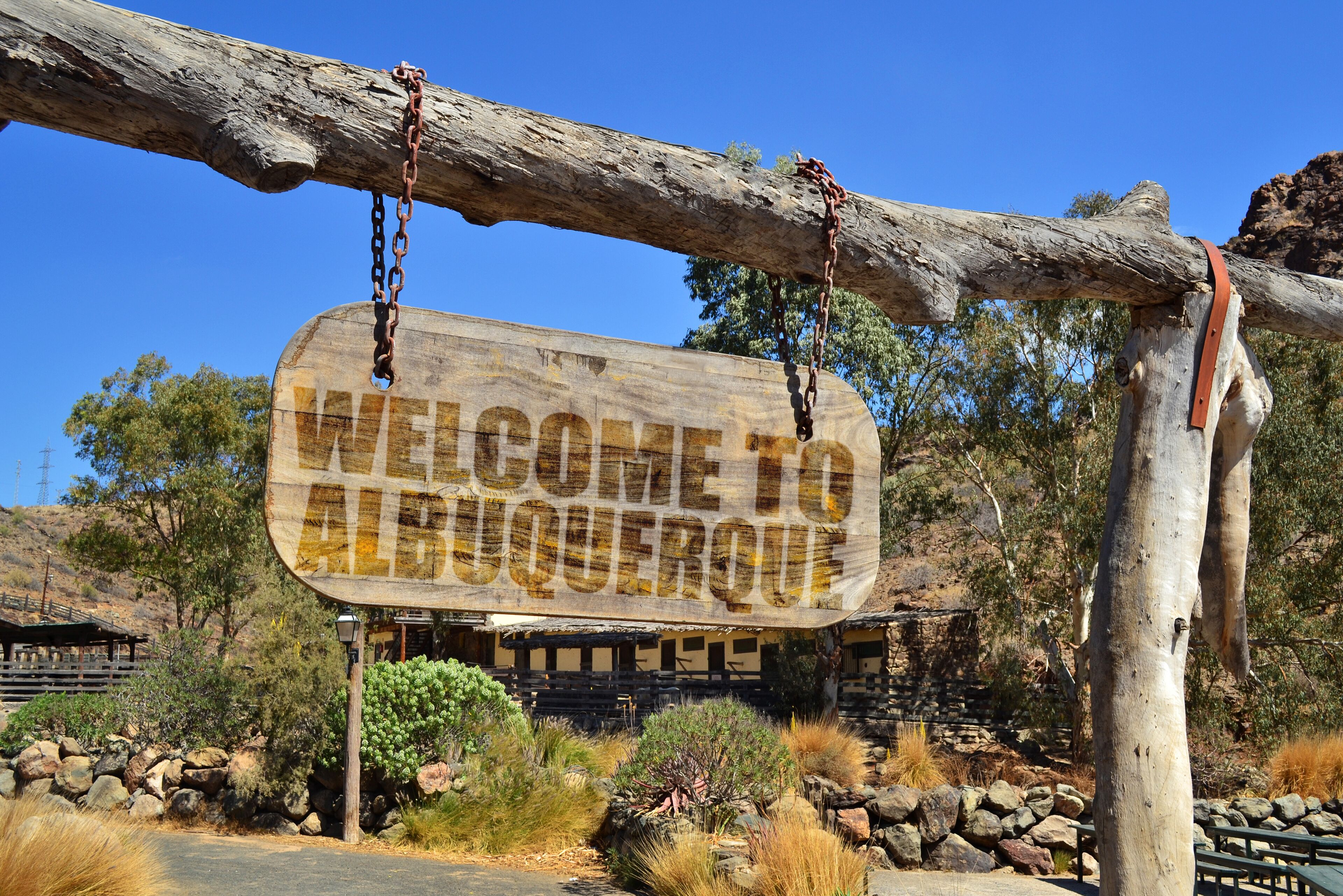 A wooden sign reading "WELCOME TO ALBUQUERQUE" hanging from a tree.