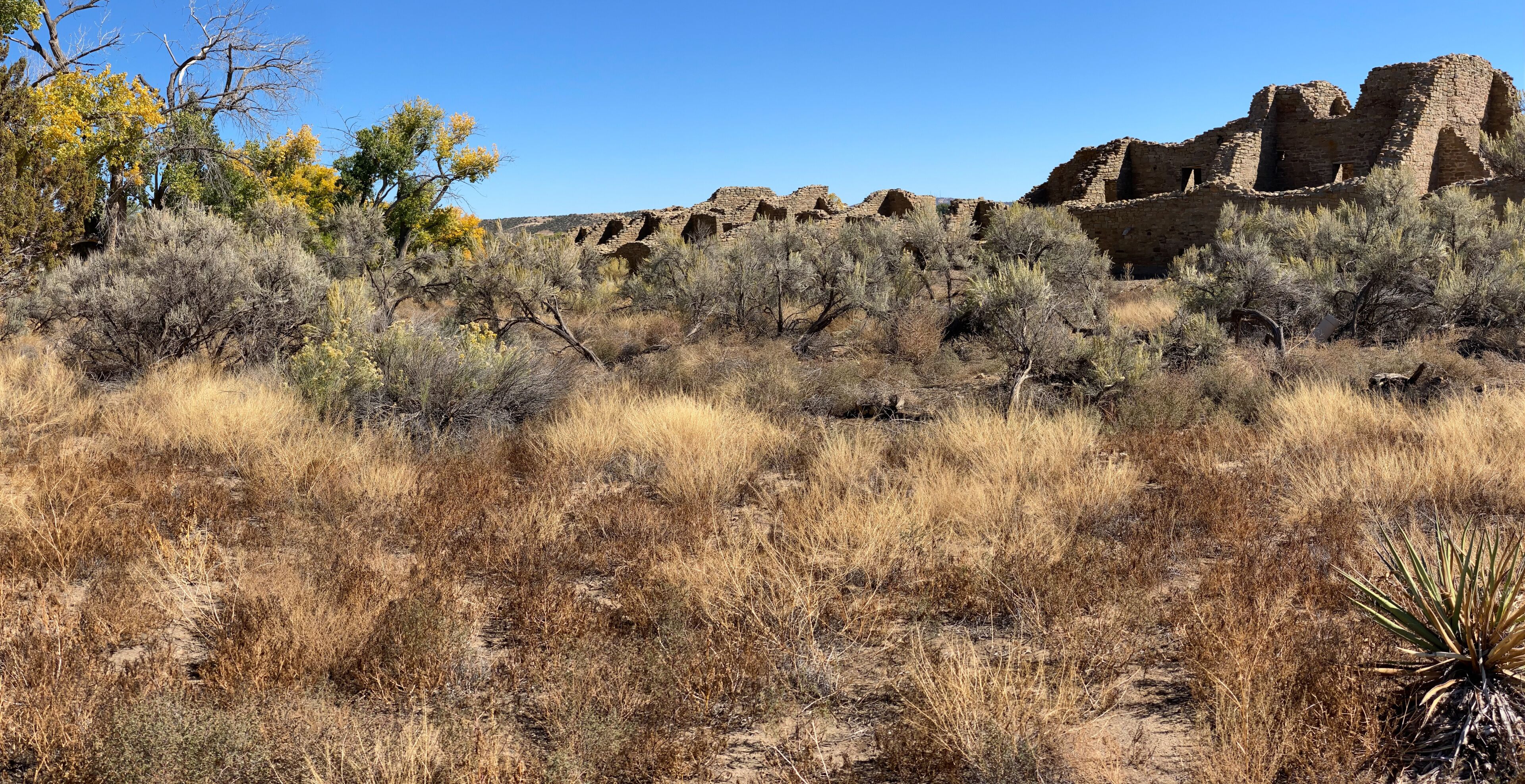 Aztec Ruins National Monument in New Mexico. Best preserved Chacoan structures including Aztec West great house built by ancestral Pueblo people. 400 rooms and three stories, autumn cottonwood trees.