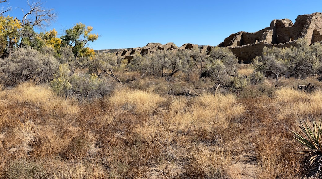 Aztec Ruins National Monument in New Mexico. Best preserved Chacoan structures including Aztec West great house built by ancestral Pueblo people. 400 rooms and three stories, autumn cottonwood trees.