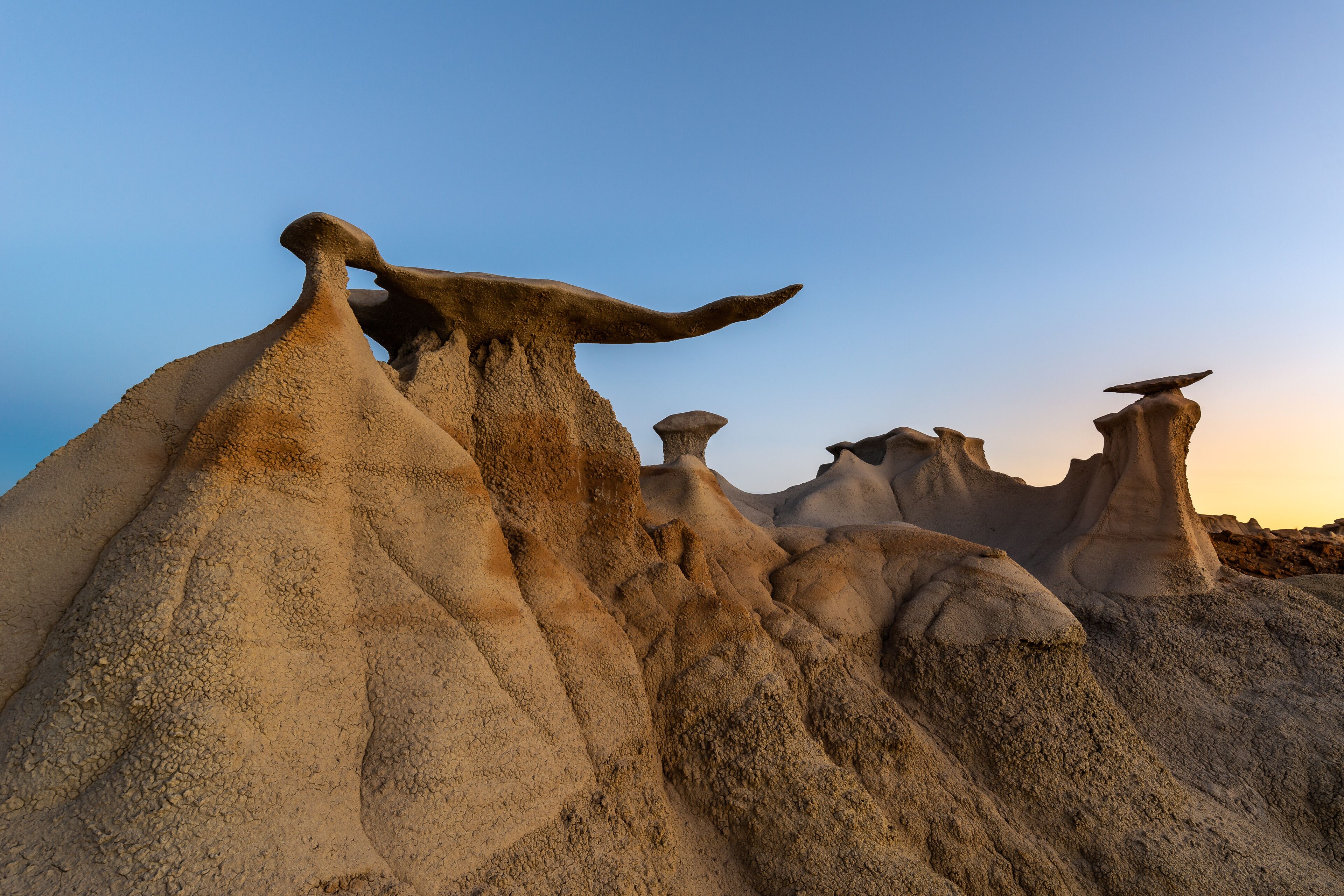 The Wings rock formation at sunrise, Bisti/De-Na-Zin Wilderness Area, New Mexico, USA