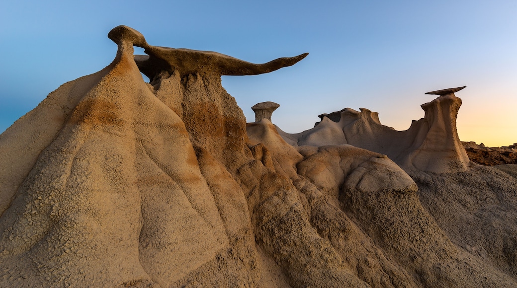 The Wings rock formation at sunrise, Bisti/De-Na-Zin Wilderness Area, New Mexico, USA