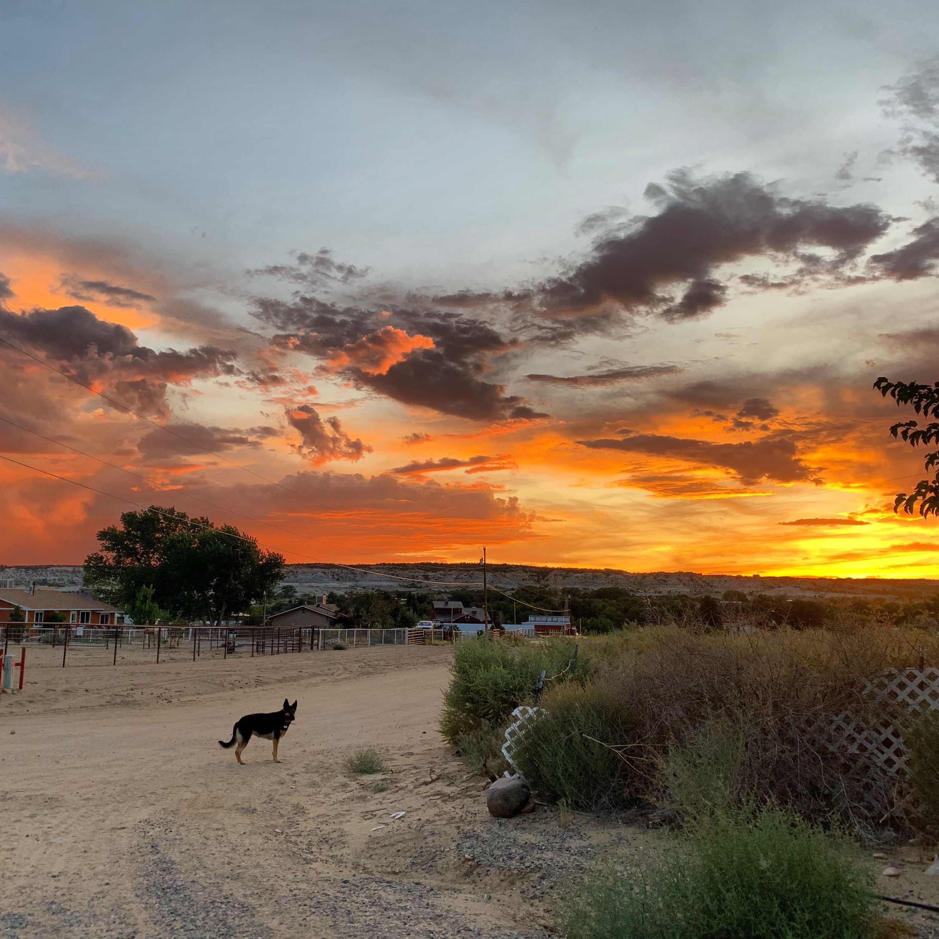 Country stroll #adventure