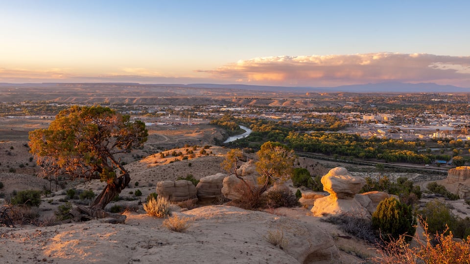 A desert landscape with rocky terrain, sparse vegetation, and a distant cityscape.