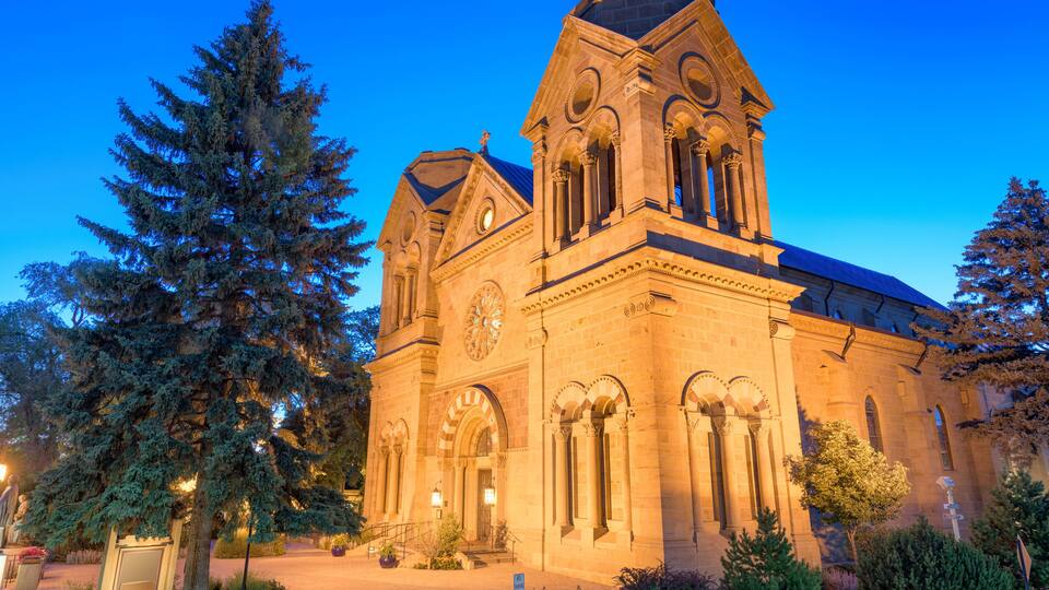 Cathedral Basilica of St. Francis of Assisi