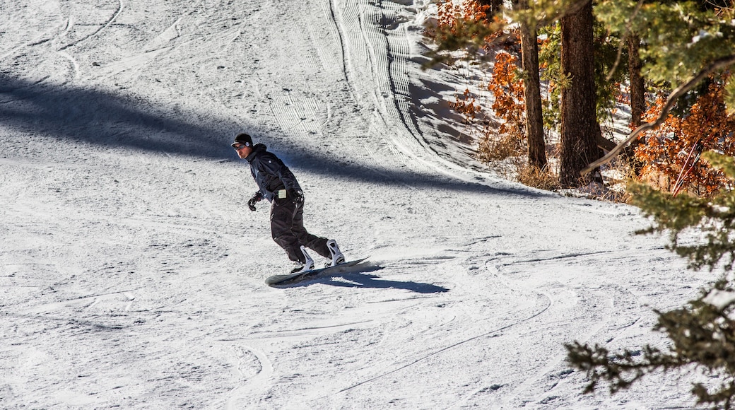 snowboarder coming in to the bottom of the ski resort