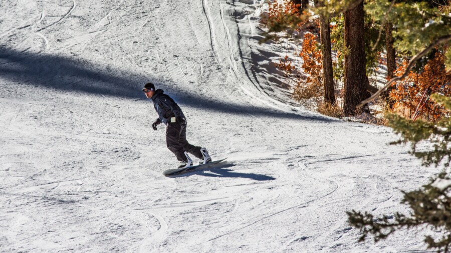 snowboarder coming in to the bottom of the ski resort