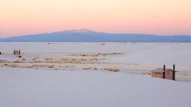 Alamogordo featuring a sunset and desert views