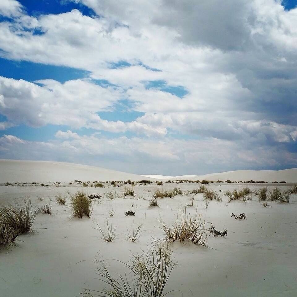 A desert landscape with sand dunes and sparse vegetation under a partly cloudy sky.